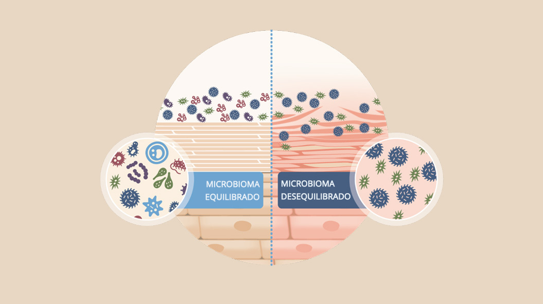 Ilustración del microbioma