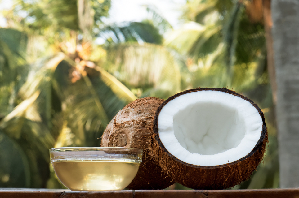 coconut and coconut oil with coconut tree background